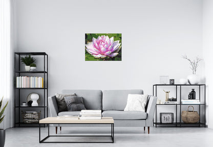 Water Lily - Brick Art Mosaic Kit 4x3 large