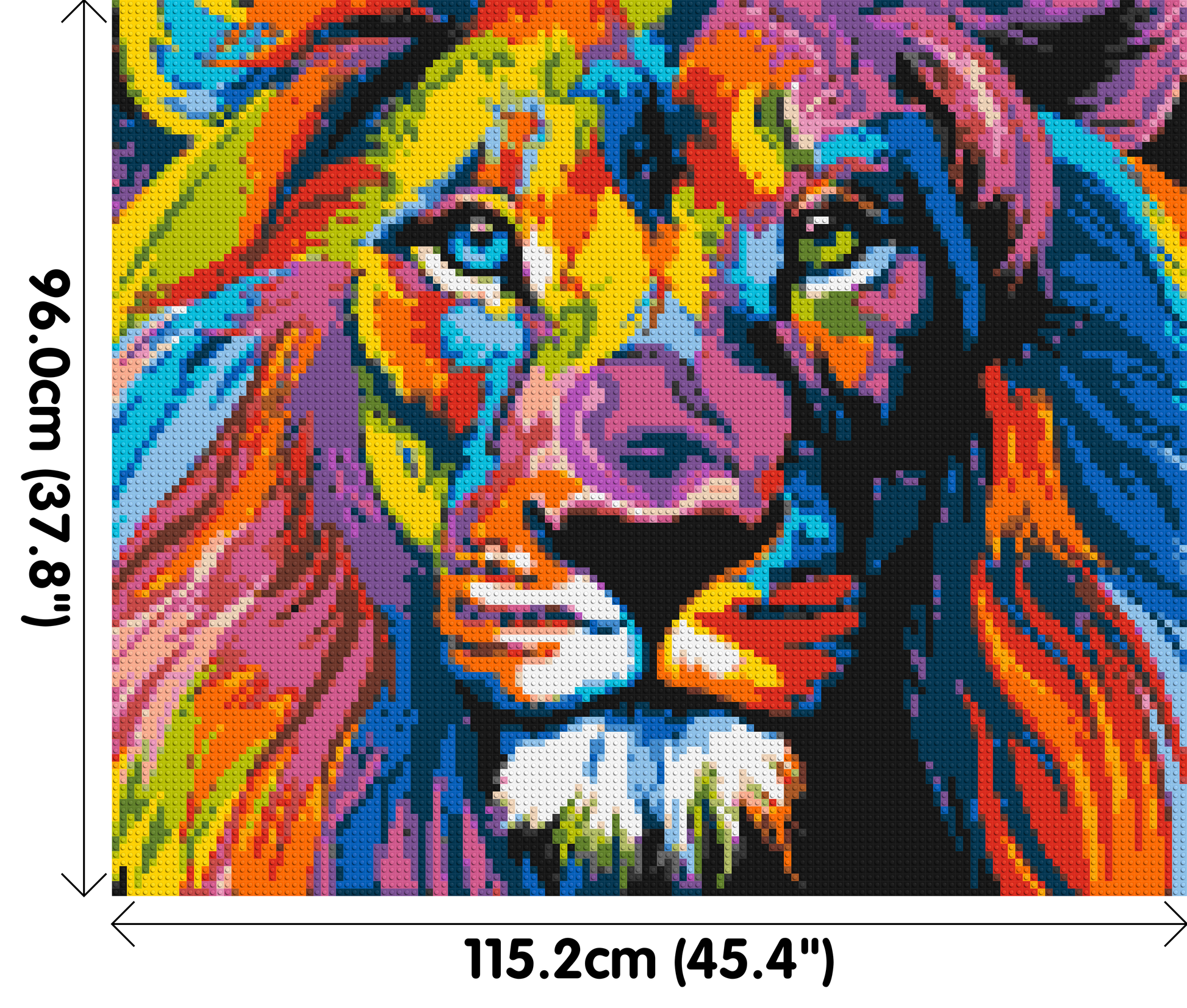 Lion Colourful Pop Art - Brick Art Mosaic Kit 6x5 dimensions