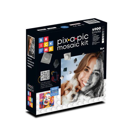 Pix-a-Pic Brick Mosaic
